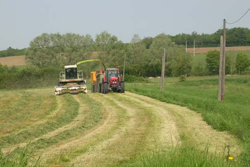 agriculture