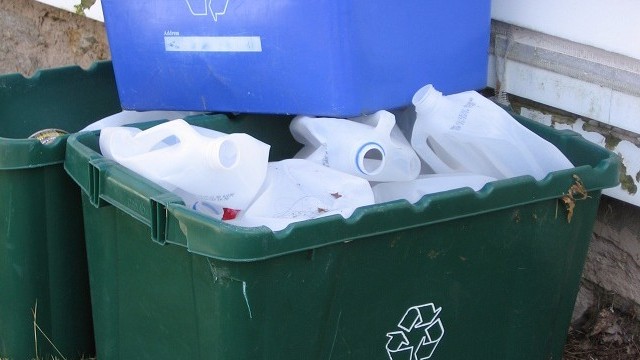 damoiselle_recycling-bins-650x360