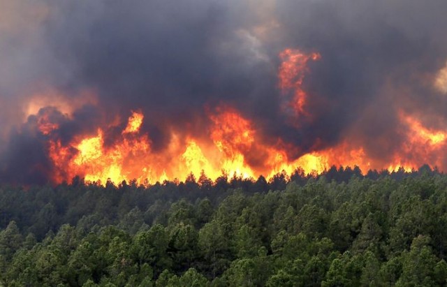 Wildfire rages on in Black Forest
