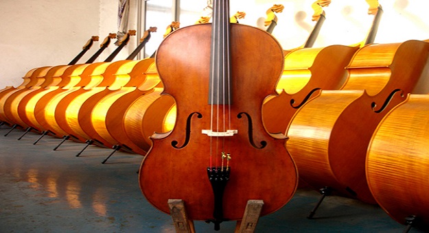 Student-Basswood-Plywood-Cello-N-C-01-1