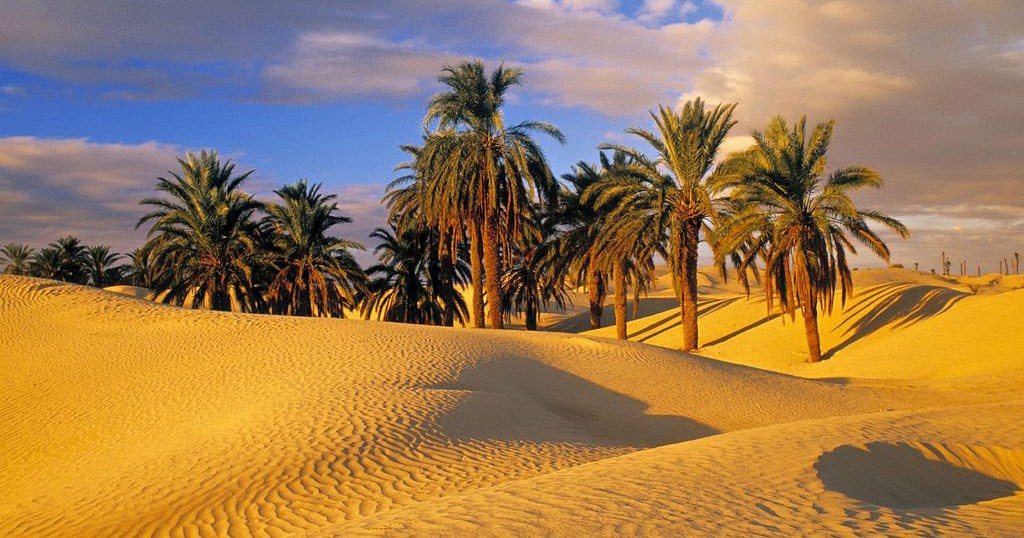 desert-oasis-tunisia-wallpaper